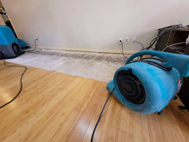 Professional Structural Drying technician working in Unionville, NC